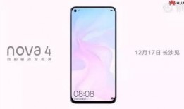 nova最新爆料,揭秘科技巨头最新动态与未来趋势