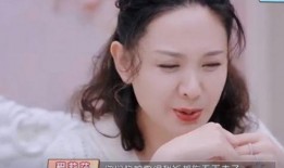 杜淳老婆王灿爆料视频,揭秘明星夫妻背后的真实生活