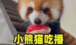 杭州动物园爆料新闻