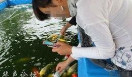 女子爆料自家鱼塘事件视频,揭秘背后惊人真相